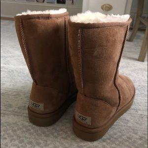 Short Tan UGGs
